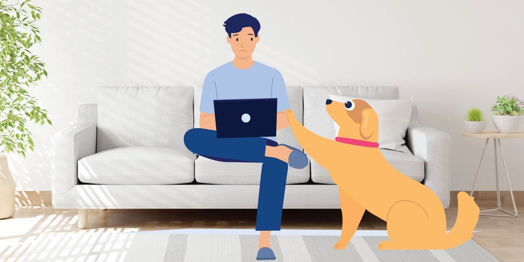 How Long Are Puppies With Parvo Contagious? BetterVet